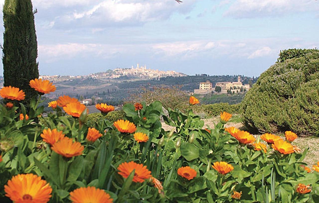 Agriturismo Fattoria Il Piano - Appartamento Lavanda - ซานจีมิญญาโน ภายนอก รูปภาพ